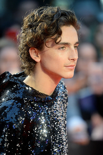 Timothee Chalamet, sun, Celebs HD phone wallpaper