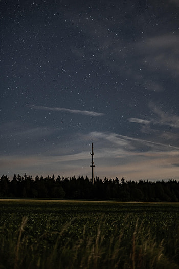 Trees, Grass, Stars, Night, Dark, Starry Sky HD phone wallpaper