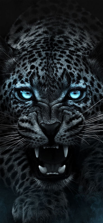 The amazing Leopard!. Wild animal , Jaguar animal, Tiger, Angry Jaguar HD phone wallpaper
