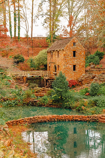 Best things to do in Arkansas, Travel food, graphy blog HD phone wallpaper