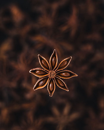 Plant, Macro, Brown, Spice, Seeds, Seed, Badian, Badyan HD phone wallpaper