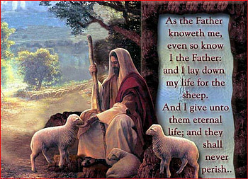 Good shepherd, god, christianity, religion, jesus christ HD wallpaper