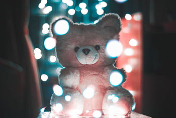 Fluffy teddy bear illuminated by warm, dreamy bokeh lights in a cozy indoor setting. HD wallpaper