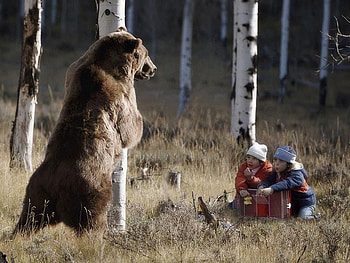 funny, kids, amiable, bear HD wallpaper