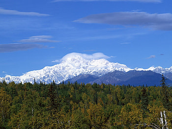 Nature, Trees, Mountains, Clouds, Snow, Summer, Conifers, Coniferous, Forest HD wallpaper