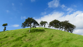Green Grass Hills Trees Slope Mountain In White Clouds Blue Sky Background Nature HD wallpaper