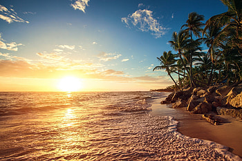 Golden Coast, sea, water, sun, sunset, palmtrees HD wallpaper