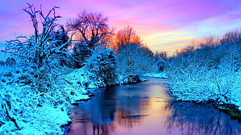 Frozen Landscape, winter, snowy, canal, frozen, Nature, lake, reflection, trees, forest HD wallpaper