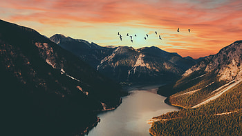 Stilness Calmness , nature, birds, mountains, lake HD wallpaper