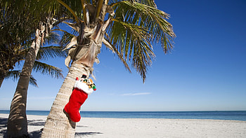 Beach Christmas HD wallpaper