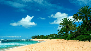 Hawaii beach , Tropical paradise, Oceanic splendor, Sandy shores HD wallpaper