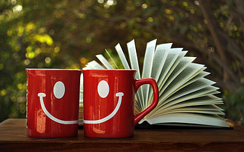 190 book , Enchanting stories, Literary escape, Imaginary realms HD wallpaper