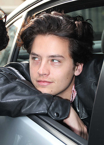 Cole Sprouse TV Shows, Paxart hoot, Model and pet HD phone wallpaper