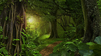 Early morning in the green forest, awesome, plants, morning, , forestscape, early, nice, trail, petals, trees, , amazing, road, path, landscape, beautiful, dark, y, sun rays, wood, green, branches, cool, view, leaf, forest, trunks HD wallpaper