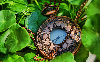 Time never comes back, treasure, clock, time, life HD wallpaper