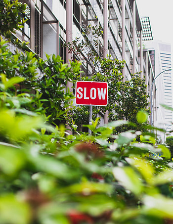 Bush, Words, Inscription, Sign, Slow HD phone wallpaper