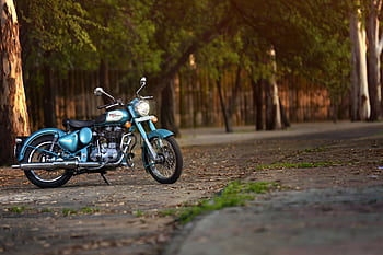 Stylish vintage motorcycle parked under a tree in a serene outdoor setting. HD wallpaper