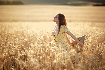 Daria Kostina in a Field of Wheat, redhead, model, dress, wheat, hat HD wallpaper
