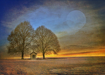 Moonlight shadows, shadows, moon, light, clouds, trees HD wallpaper