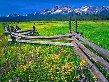 Rail fence, summer, rail, green, fence, nature, flowers, grass, mountain HD wallpaper