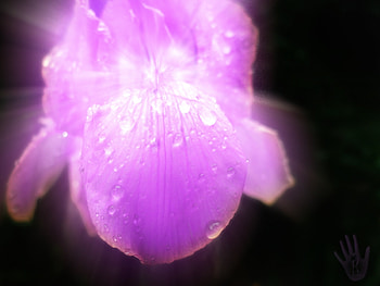 Abstract, Violet HD wallpaper