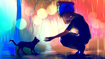Black cat boy anime HD wallpaper