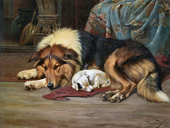 No Walk Today - Dogs, animal, art, dogs, Wright, beautiful, Barker Wright, illustration, artwork, wide screen, painting, pets, canine HD wallpaper