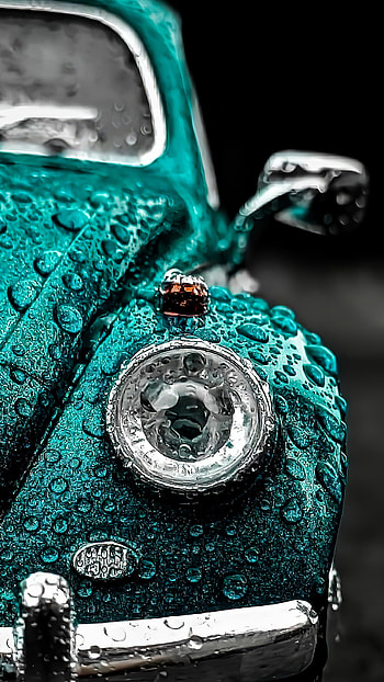 Green Beetle, rain, car, waterlets, water drops HD phone wallpaper