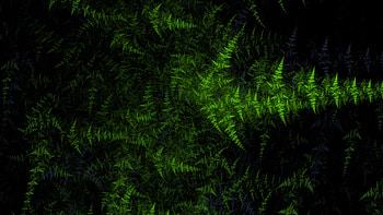 Leaves, Shapes, Darkness, Green, Abstraction Abstract HD wallpaper