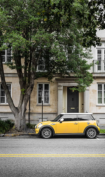 A vibrant yellow Mini Cooper parked on a scenic street in Charleston, SC. HD phone wallpaper
