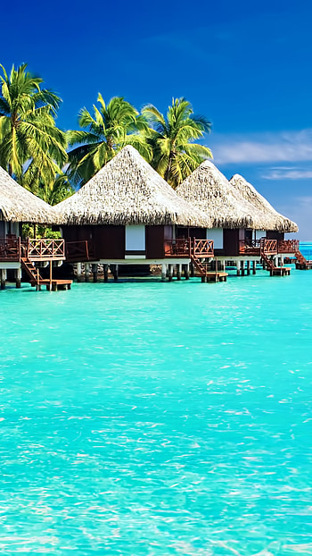 Fiji (Travels), Tropical , Island paradise, s HD phone wallpaper