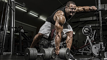 Weightlifting, Fitness HD wallpaper