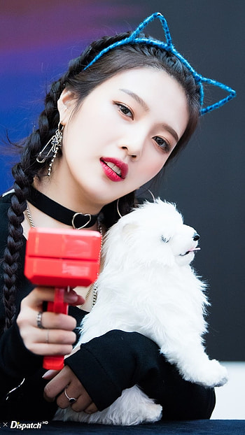 Joy, Joy Korean Singer HD phone wallpaper