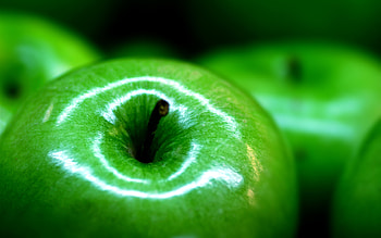 Food, Background, Apples HD wallpaper