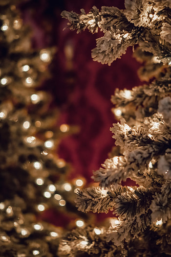 Holidays, New Year, Christmas, Branches, Christmas Tree, Garland, Garlands HD phone wallpaper