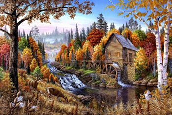 Nature Scenery, autumn, Scenery, Nature, forest HD wallpaper