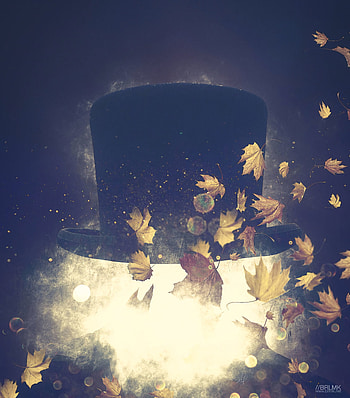 Art, Autumn, Foliage, Hat, Surrealism HD phone wallpaper