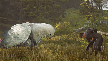 Hogwarts Legacy, Hippogriff, Ravenclaw (Harry Potter), hippogriff, Hogwarts Legacy HD wallpaper