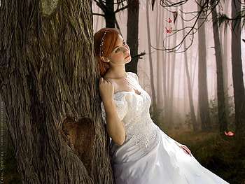 Heart of Stone, trees, lady, woods, art HD wallpaper