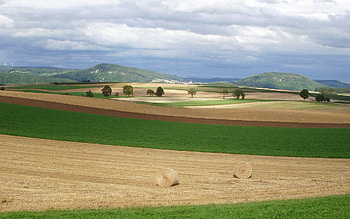 Nature, Field, Hay, Bales, August HD wallpaper
