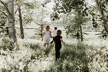 Grass, Children, Miscellanea, Miscellaneous, Stroll, Sunlight HD wallpaper
