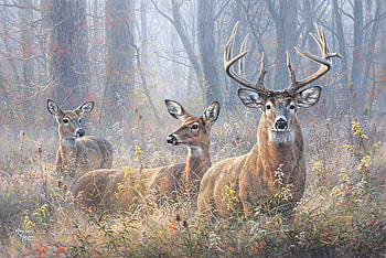 The protector, abraham hunter, painting, art, pictura, cerb, deer, caprioare HD wallpaper