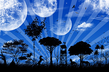 Fantasy, Vector, Planet, Imagination, Peace, World HD wallpaper