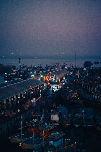 Fish port, boat, man made HD phone wallpaper