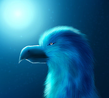 Lunar_Night, lunar-night HD wallpaper