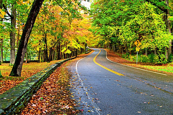 AUTUMN, falls, landscape, seasons, leaves, trees, road, nature, splendor, forest HD wallpaper