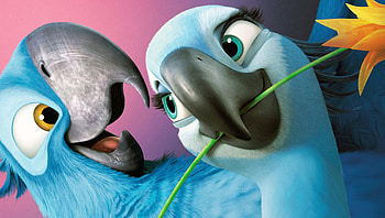 Rio 2 (2022) movie HD wallpaper