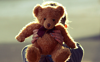 Teddy Bear, Miscellanea, Miscellaneous, Toy, Hands HD wallpaper