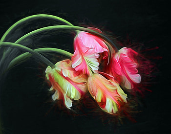 Tulips, Flowers, Pink, Artist, Bouquet HD wallpaper