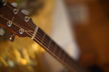 Music, Guitar, Vulture, Strings HD wallpaper